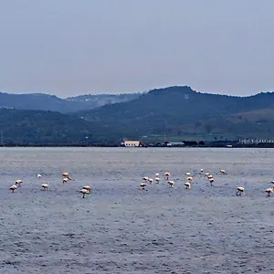 Adriatic Vlorë